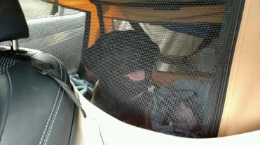 _IMG952015083195154826