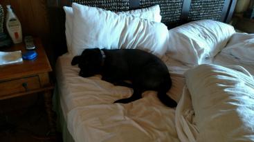 _IMG_20150902_103058