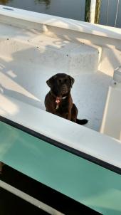 _IMG_20150903_173740