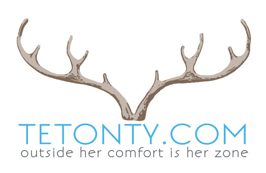 TetonTy Antlers smaller this is the one